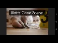 The Chris Watts Crime Scene
