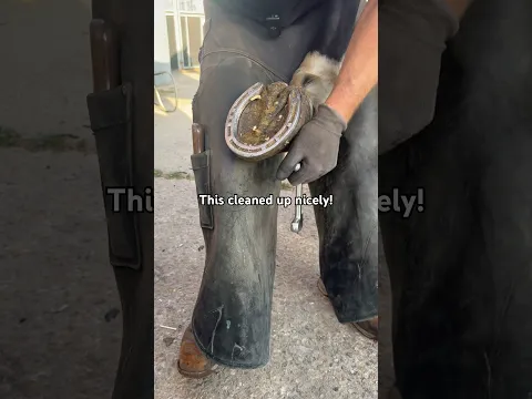 This was a satisfying hoof clean up! 👌🏼