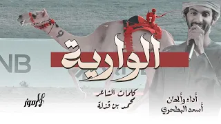 أسعد البطحري   الوارية   هجن الرئاسة     حصريا       دندنها