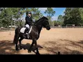 Download Lagu Julie Palmer riding Unico Fan Ryp-Ein USEF Training Level 2