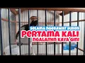 Lagu Selama Ngerawat Suren | Baru Pertama Kali Ngalamin Kaya Gini