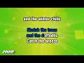 Don McLean - Vincent - Karaoke Version from Zoom Karaoke
