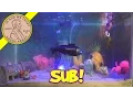 SpongeBob Fish Tank - New Shark Sea Horse RC Submarine
