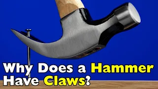 Why Does a Hammer Have Claws? The Secret Behind the Curved Metal