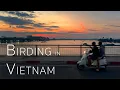Lagu Birding in Vietnam | Enchanted Bird Hide \u0026 Cát Tiên National Park | 2025 1/2