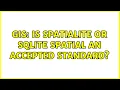 GIS Is SpatiaLite or SQLite Spatial an Accepted Standard