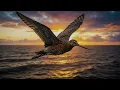 How Do Migrating Animals Know Where to Go?