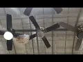 Harbor Breeze Armitage Series 42 Ceiling Fan at Lowe s