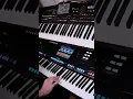 Download Lagu Tornero - Cover on Yamaha Genos \u0026 Korg Pa4X Pro #short #shorts