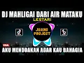 Download Lagu DJ MAHLIGAI DARI AIR MATAKU REMIX VIRAL TIKTOK TERBARU 2022