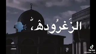 اكتاب على زناد البرودة اسم الاقصى وفلسطين 