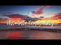 Ultimate Tranquility Find Your Peace and Relaxation in the Midst of Nature