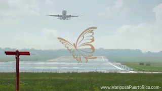 Mariposa Slixa