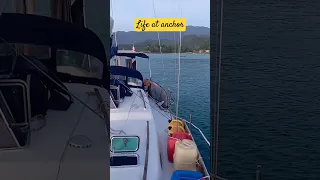 Life at anchor, and its pizza night!!❤ #shorts#sailing