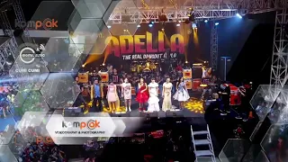 Download Om adella bintang tamu dewi persik terbaru MP3