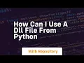 How can I use a DLL file from Python
