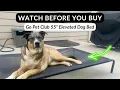 My Honest 5 Year Review of this Elevated Dog Bed Perfect for Summer