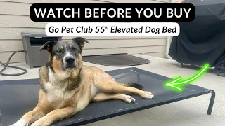My Honest 5 Year Review of this Elevated Dog Bed Perfect for Summer