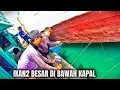 Download Lagu ‼️MANTAP‼️MANCING IKAN KIPER UMPAN NASI /SPOT MANCING PINGIRAN TERBAIK DI BENOA BALI