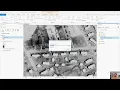 ArcGIS Pro Feature Tracing