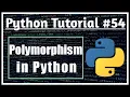 Polymorphism in Python Python oops Python Tutorials for Absolute Beginners Jeevan Upreti