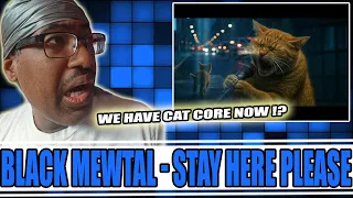 what the heck am i watching black mewtal stay here please reaction