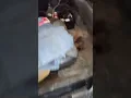 99 to 2002 dodge ignition bypass