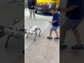 Download Lagu Keizo ketakutan dikejar robot anjing tapi akhirnya⁉️