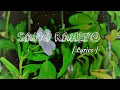 Sang Rahiyo (Lyrics)-Jasleen Royal, Ujjwal kashyap