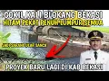 Download Lagu NORMALISASI KALI BLOKANG SUDAH JADI SARANG ULAR SANCA