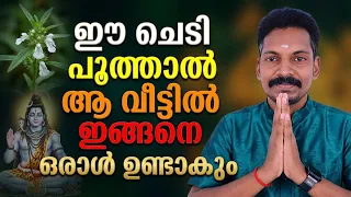 തുമ്പച്ചെടി വളർന്നാൽ ആ വീട്ടിൽ വരാൻ പോകുന്ന മാറ്റം ഇതാണ്. അവിടെ ഇങ്ങനെ ഒരു വ്യക്തി ഉണ്ടാകും.