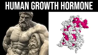 How To Increase Growth Hormone Naturally - Maximise HGH