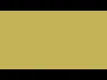 Vegas Gold Screen 1 HOUR of VEGAS GOLD 60 Minutes of Vegas Gold