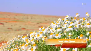 شيلة منهج كرامتنا كلمات عابد الشيباني أداء المنشد نايف حمود 