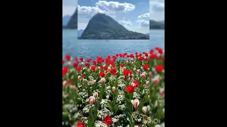 و أ م ل ي ل ه م إ ن ك ي د ي م ت ين القرآن الكريم القرآن الأمل المصحف 