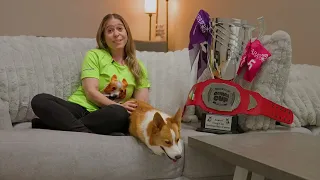 Catching Up with SAM Before the 2nd Annual Corgi Cup