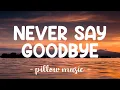 Download Lagu Never Say Goodbye - Bon Jovi (Lyrics) 🎵