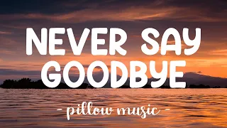 never say goodbye bon jovi lyrics 