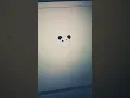 Draw Panda Face Using Python Turtle Graphics
