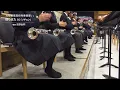 僕らまた/SG (ソギョン)【大阪桐蔭吹奏楽部】