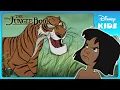 Download Lagu 🐯 Mowgli Faces Shere Khan! | Jungle Book | Disney Kids