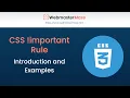 CSS important Rule