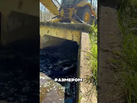 Огромная КУЧА веток шокировала селян 😱🔥🌲