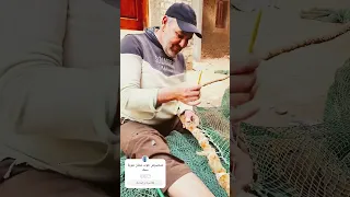 بيقولك إيه بقي متخسرش حوت عشان شوية سمك اكسبلور بحر 