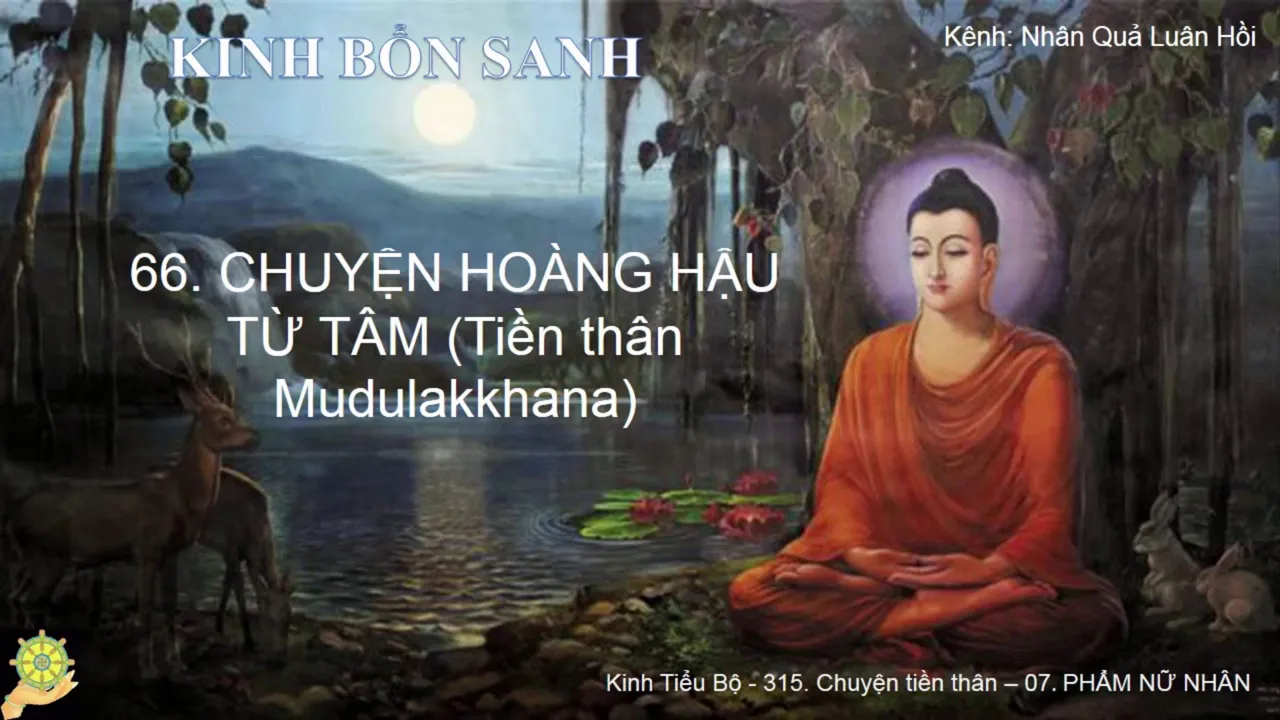 66 Truyện HOÀNG HẬU TỪ TÂM Tiền thân Mudulakkhana Truyện Tiền Thân Đức Phật Tập 1 