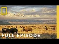 Download Lagu Wild Yosemite (Full Episode) | America's National Parks