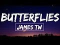 James TW - Butterflies (Lyrics)| Hits Music Everyday