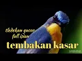 Download Lagu tledekan gunung gacor || tledekan gunung full isian || tembakan kasar tledekan gunung || Niki Bos