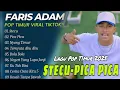 Download Lagu FARIS ADAM – Stecu Pica Pica | Lagu Pop Timur Viral TikTok 2025