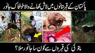Terrifying Creature Found in Pakistani Graveyard ! What Happened At Graveyard ???